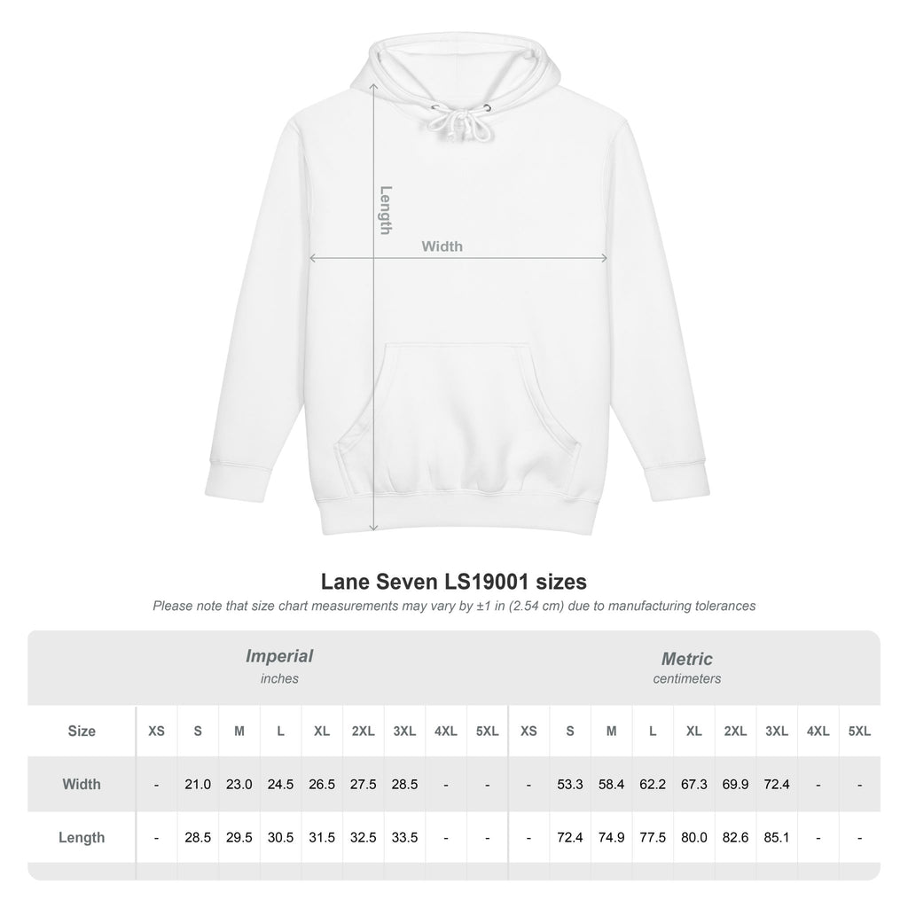 Ziggy Raccoon Graphic Hoodie