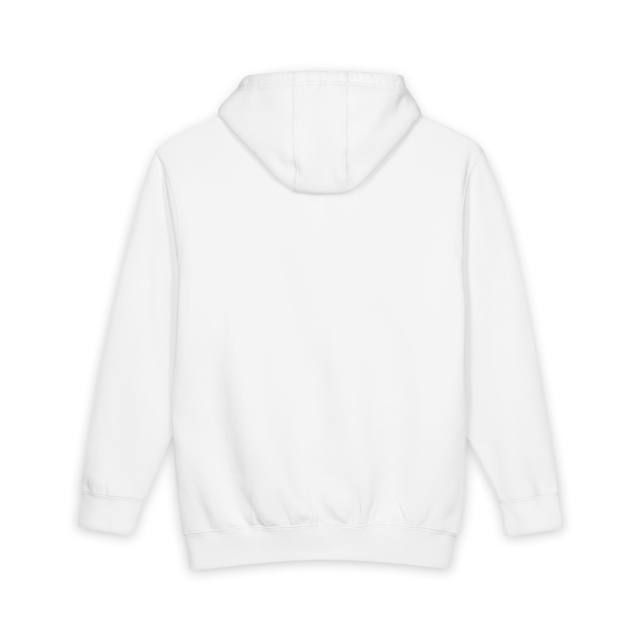 Ziggy Raccoon Graphic Hoodie